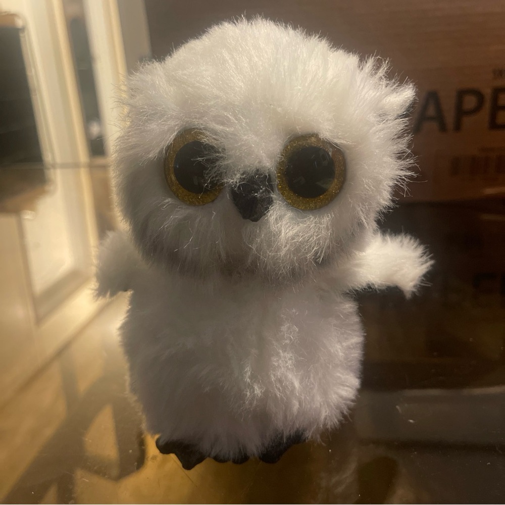 TY Beanie Boos Austin the White Owl Glitter Eyes 6 Inch Boo Toy HTF
